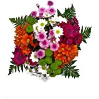 EL JARDÍ D´ESTHER-Ramo de margaritas variadas naturales-FLORES FRESCAS- ENTREGA EN 24 HORAS